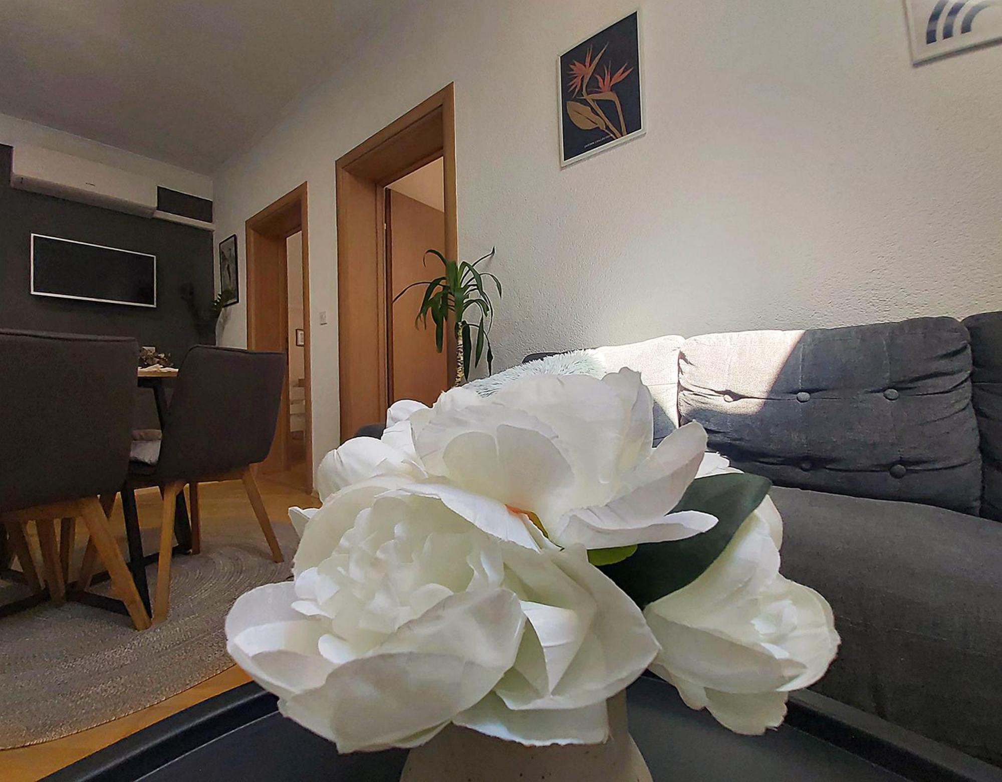 Zara Apartment With Terrace Near Old Town Mostar Dış mekan fotoğraf